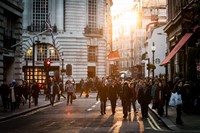 Sober Minds In A Muddled World