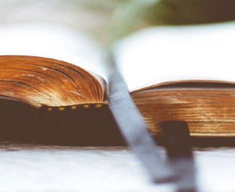 Ladies' Bible Studies