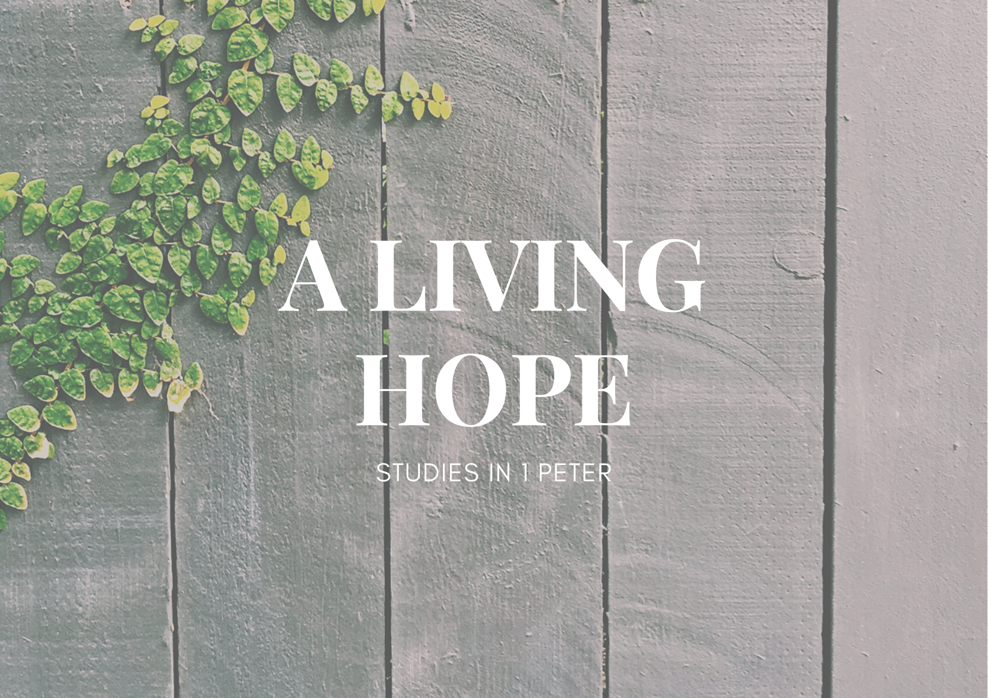 Our Living Hope