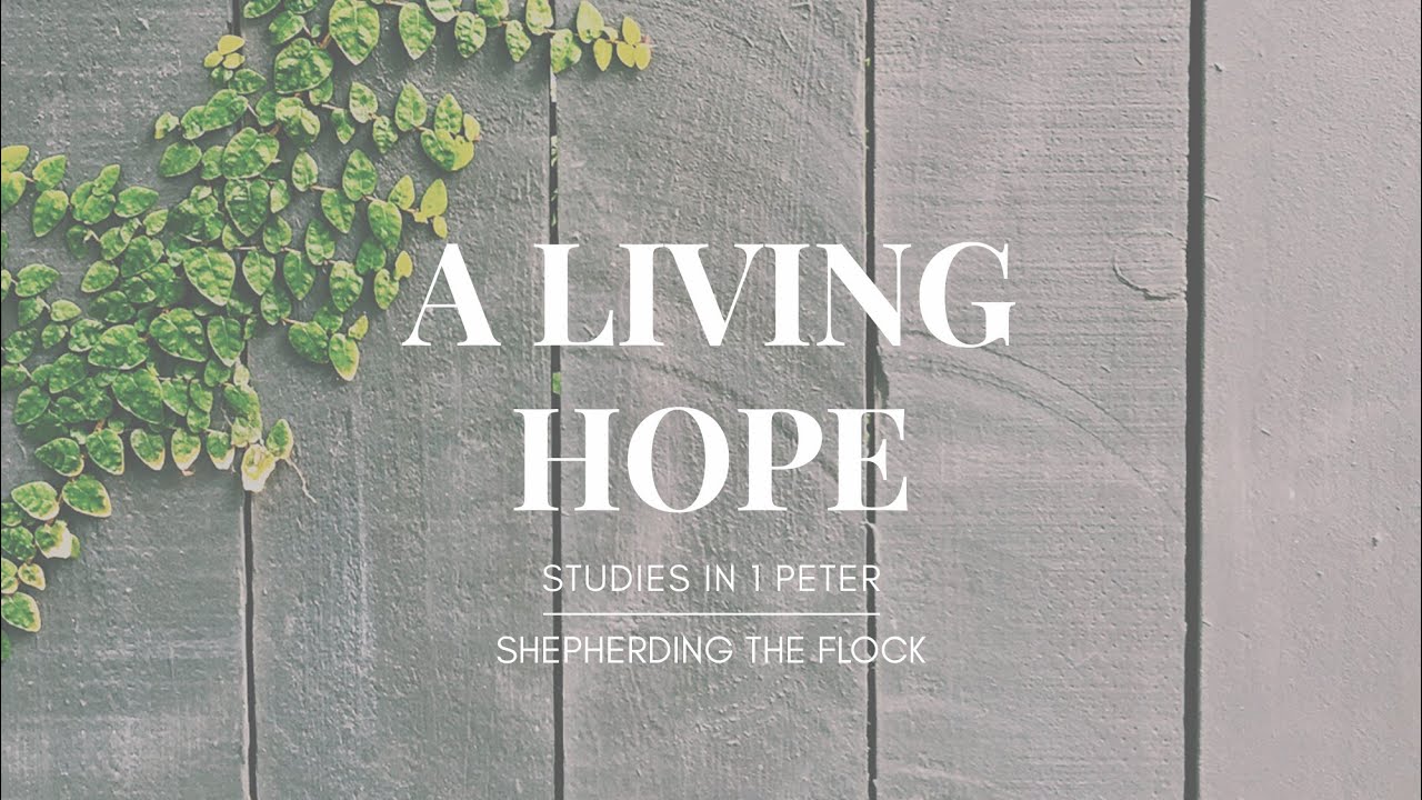 Shepherding the Flock