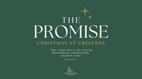 Christmas Eve Carol Service - The Promised Saviour