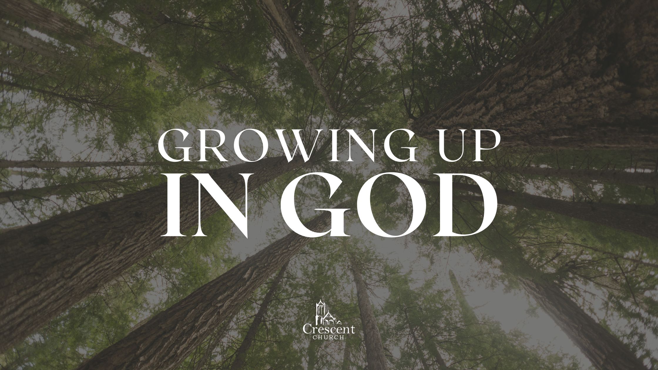 Walking With the Spirit to Overcome Temptation