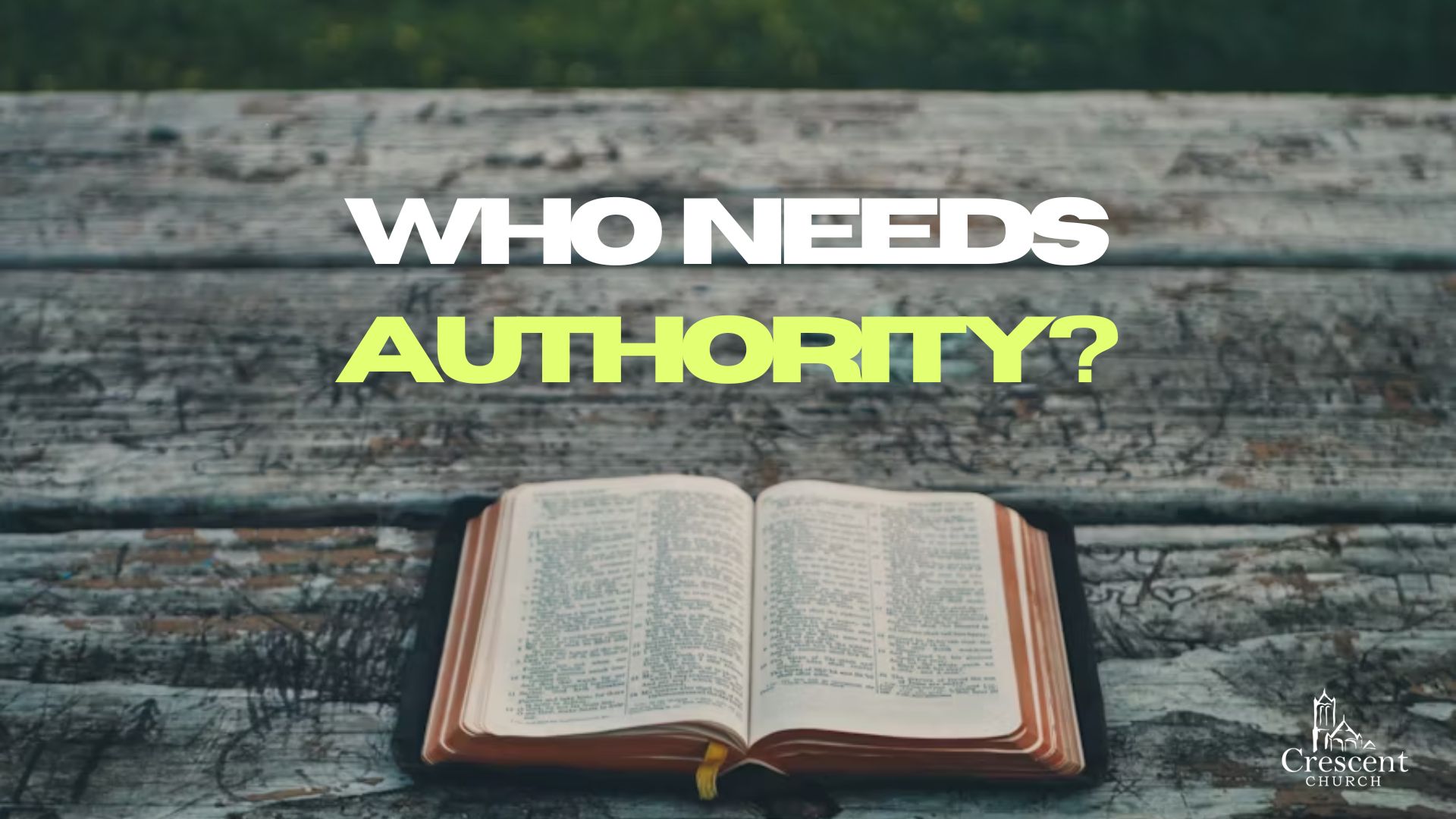 A World Without Authority