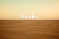 Exodus: Part 2