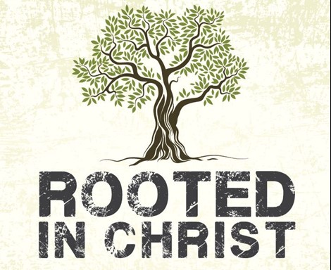 Rooted in Christ